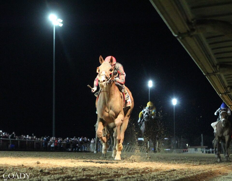 BANISHING - Charles Town Classic G2 - Renee Torbit / Coady Photo