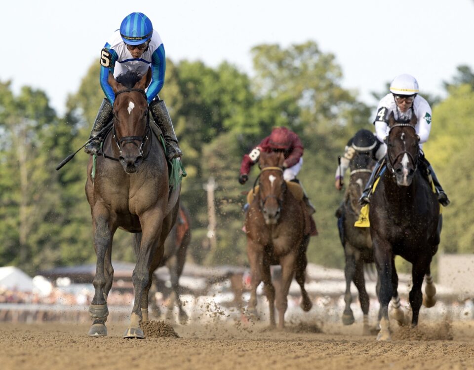 Book'em Danno - Barbara D. Livingston - Daily Racing Form