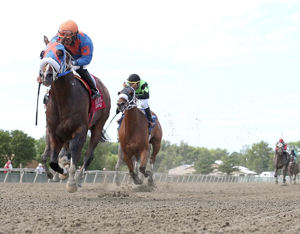 Buccherino - State Representative's Sprint Stakes - Bill Denver/EQUI-PHOTO
