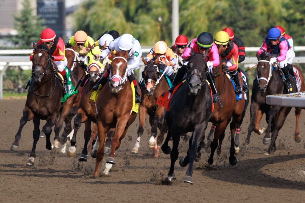 Final Turn - King's Plate 2024 - Woodbine/ Michael Burns Photo