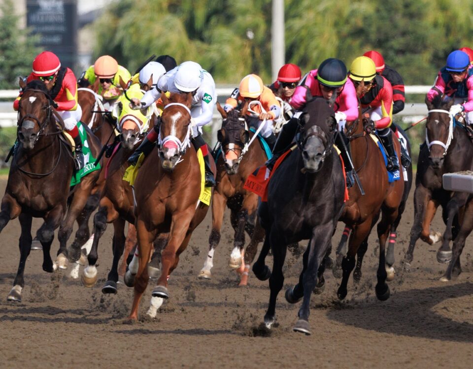 Final Turn - King's Plate 2024 - Woodbine/ Michael Burns Photo