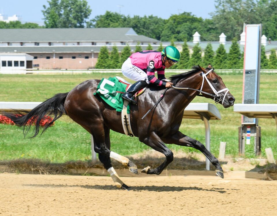 Crown the Buckeye - Cleveland Kindergarten Stakes - Dale Dengerd/JJ Zamaiko Photography