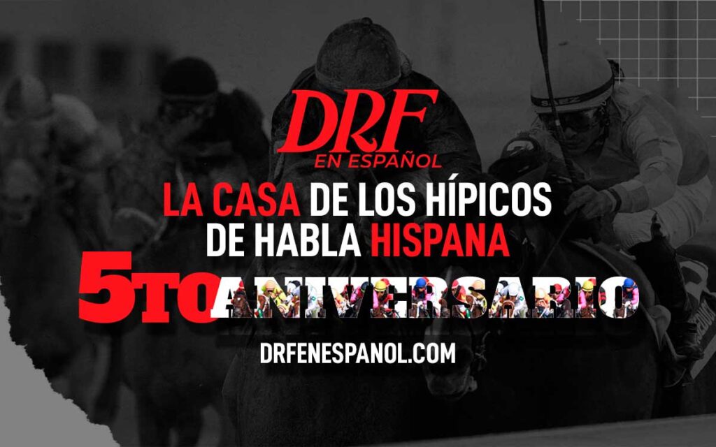 DRF en Español Quinto Aniversario