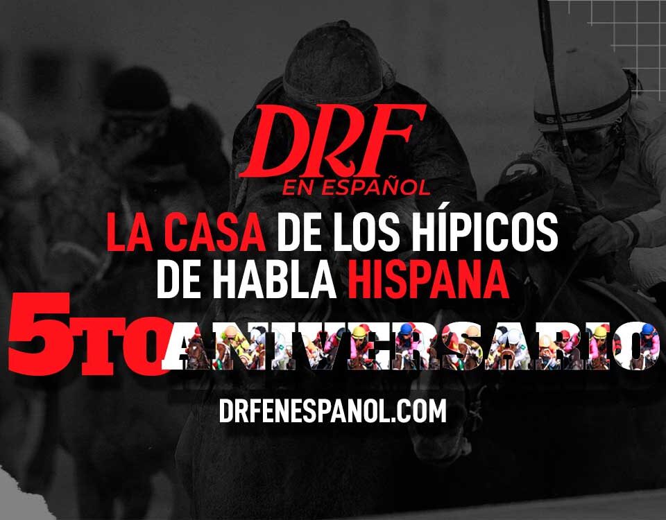DRF en Español Quinto Aniversario