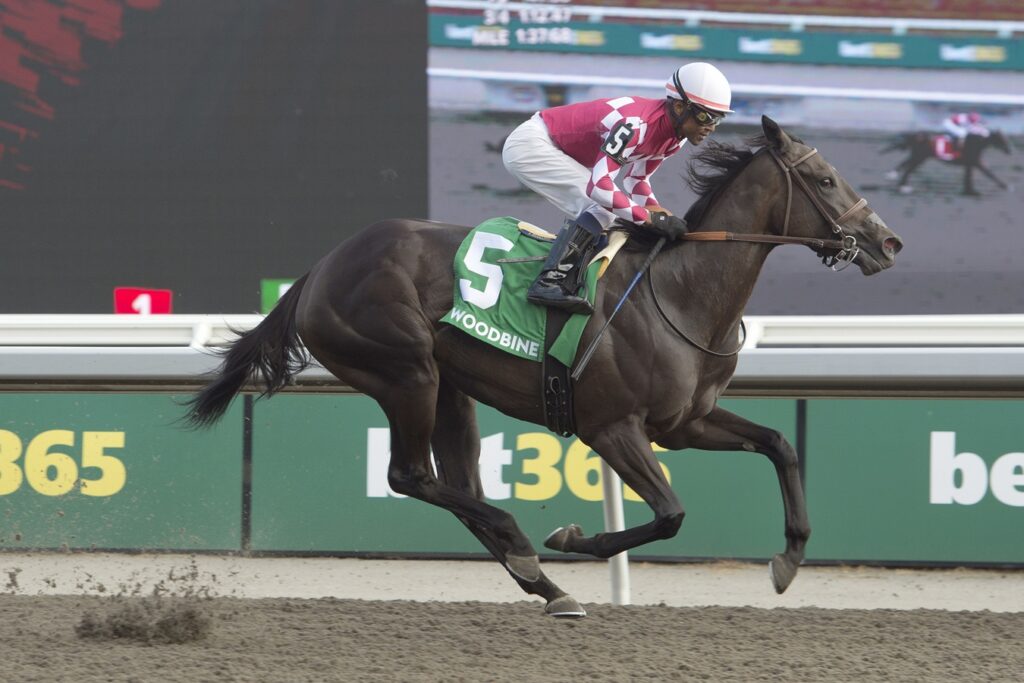 Winterberry - $250,000 Bison City Stakes - Woodbine / Michael Burns