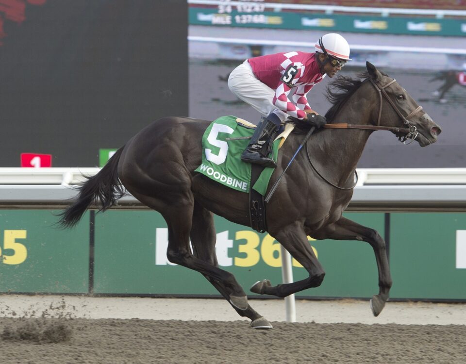 Winterberry - $250,000 Bison City Stakes - Woodbine / Michael Burns