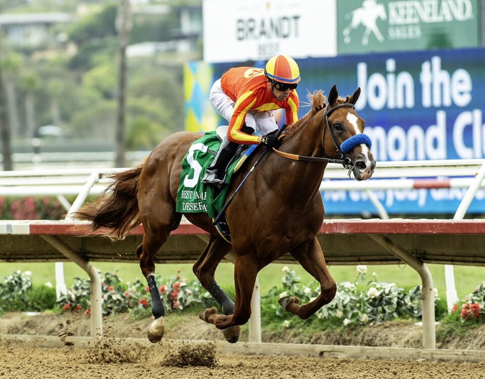 Desert Gate - Del Mar - Benoit Photo