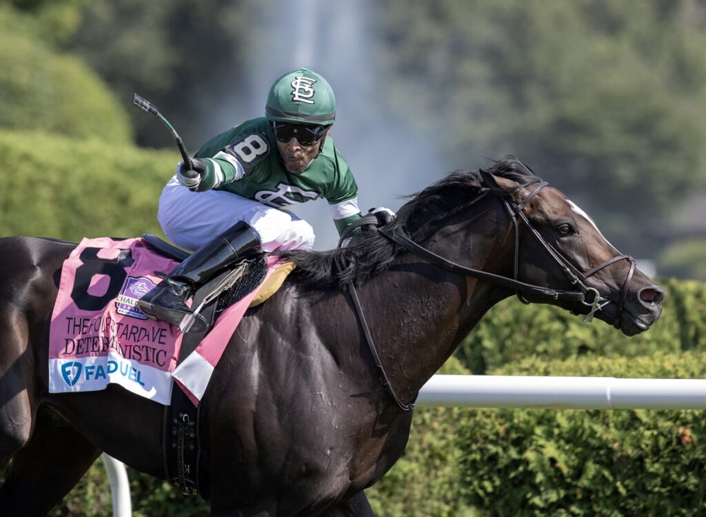 Deterministic - Barbara D. Livingston - Daily Racing Form