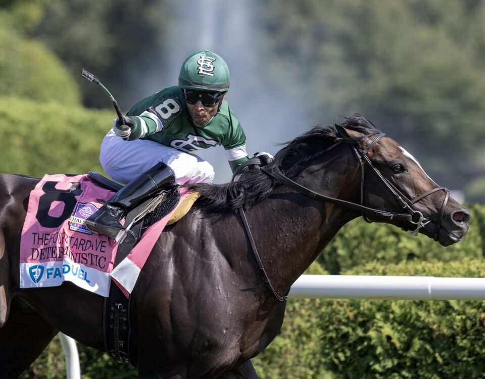 Deterministic - Barbara D. Livingston - Daily Racing Form