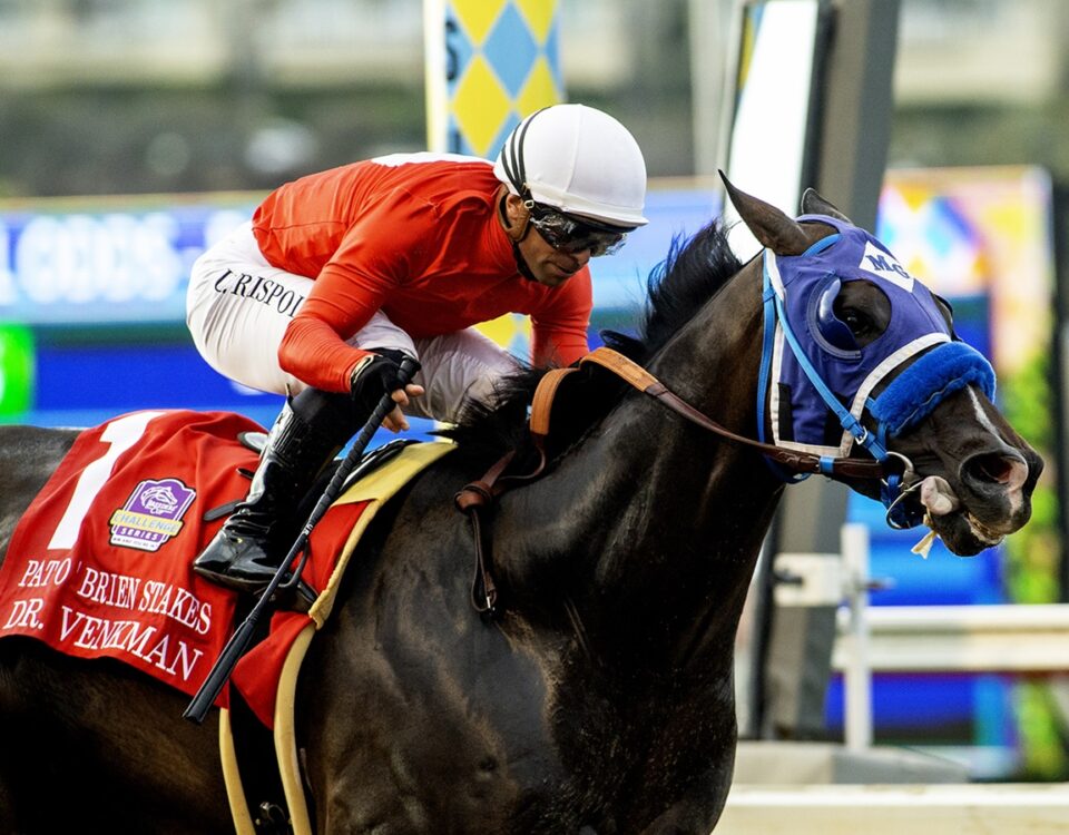 Dr. Venkman - Del Mar - Benoit Photo