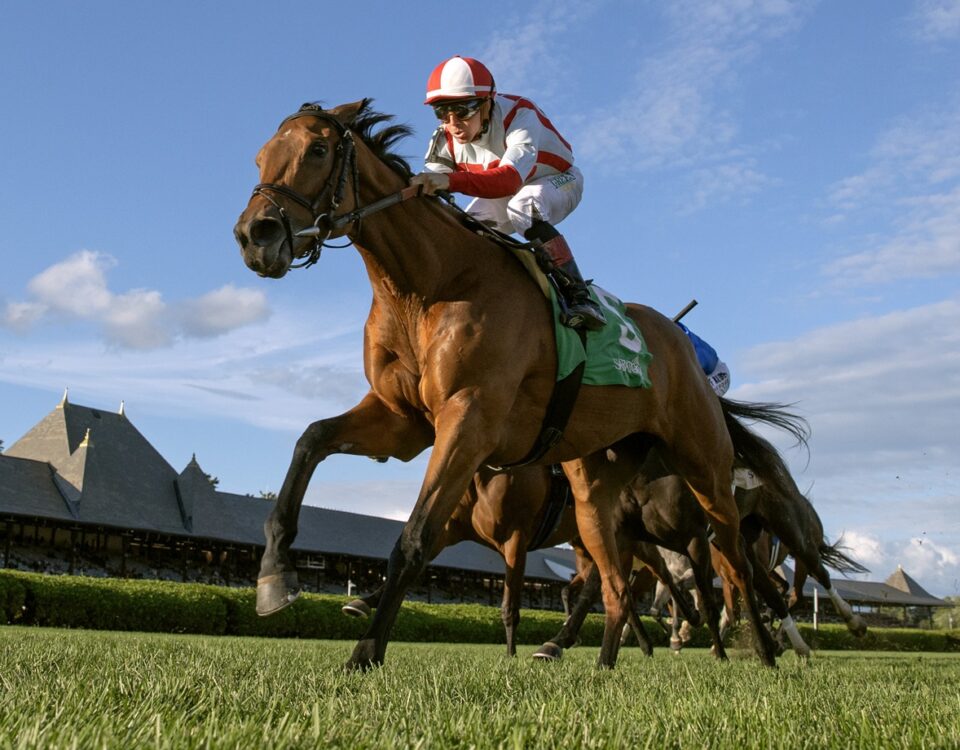 Dynamic Pricing - Barbara D. Livingston - Daily Racing Form