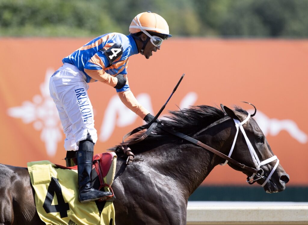 Emphasis - Barbara D. Livingston - Daily Racing Form