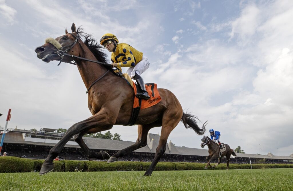 Far Bridge en pos del Sword Dancer G1 - Barbara D. Livingston / Daily Racing Form