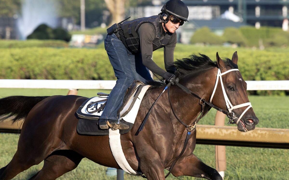 Fierceness - Barbara D. Livingston - Daily Racing Form