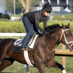 Fierceness - Barbara D. Livingston - Daily Racing Form