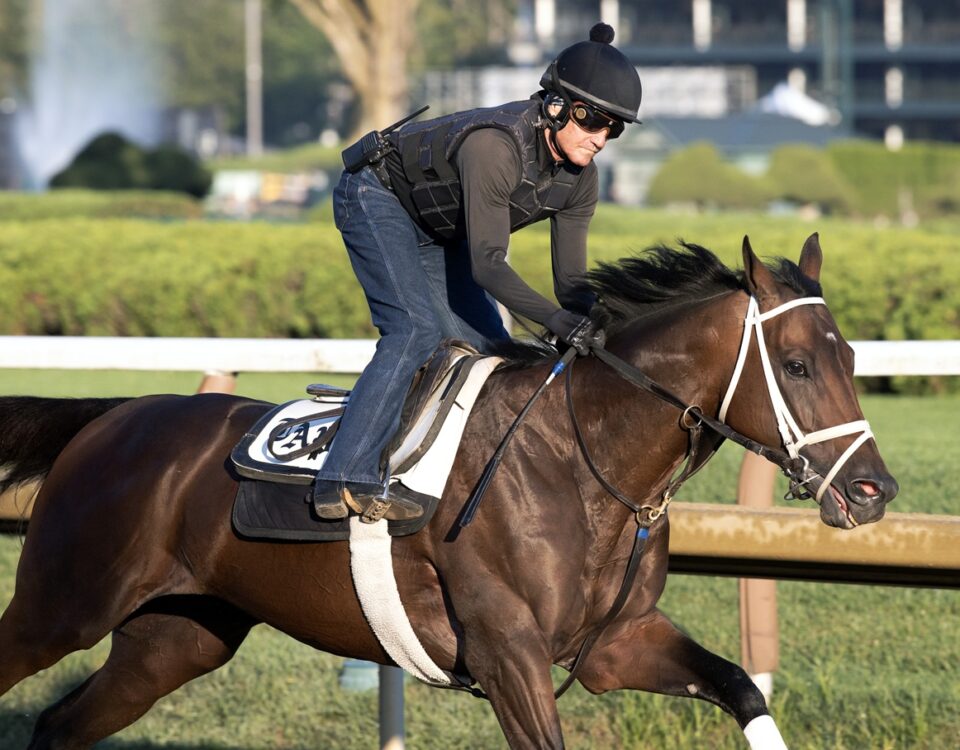 Fierceness - Barbara D. Livingston - Daily Racing Form