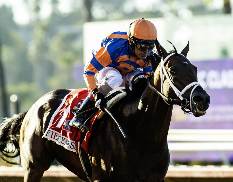 Fierceness - Grade I, $1,000,000 Pacific Classic - Del Mar - © BENOIT PHOTO