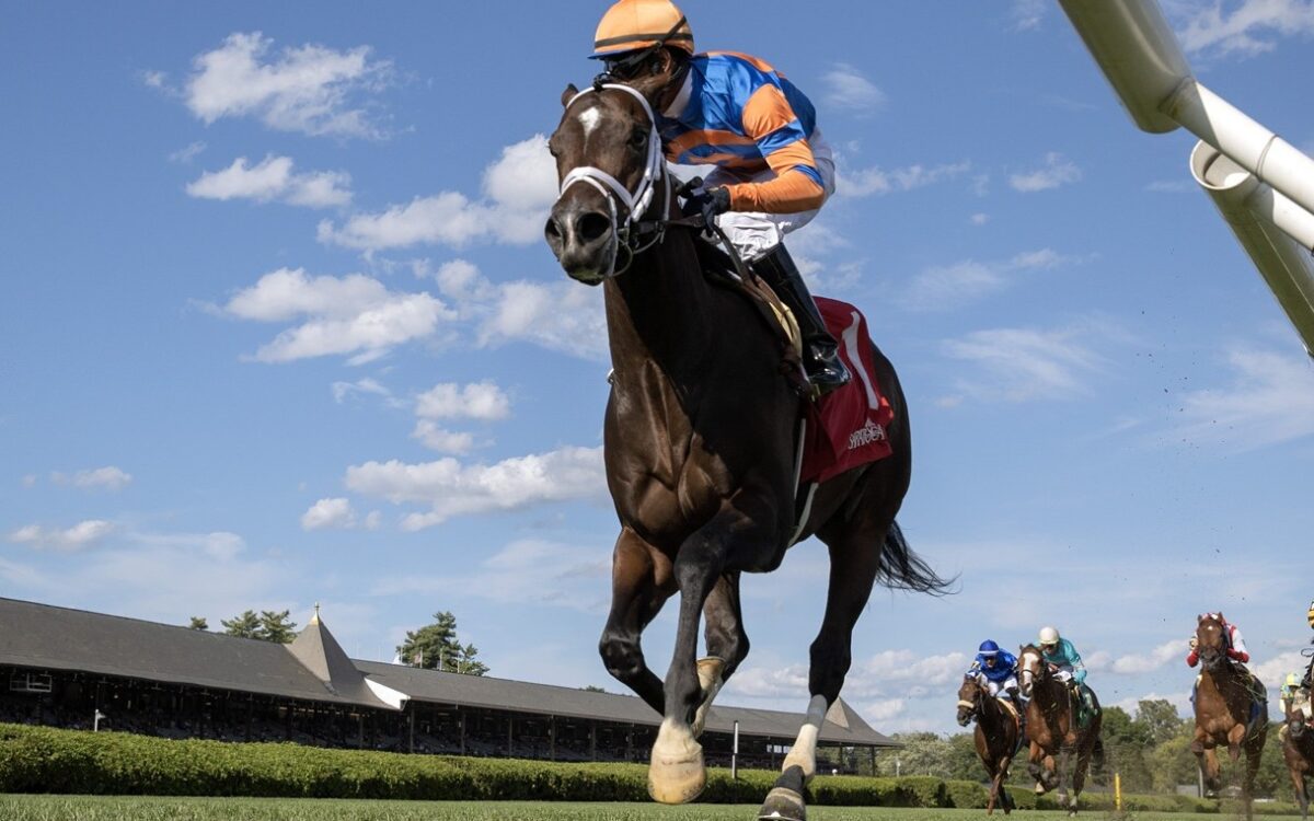 Final Score - Barbara D. Livingston - Daily Racing Form
