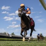 Final Score - Barbara D. Livingston - Daily Racing Form