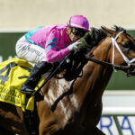 Formidable Man - Grade II $300,000 Del Mar Mile - Del Mar, CA. - Benoit Photo