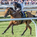 Future Is Now - Smart And Fancy Stakes - Debra A. Roma - Daily Racing Form