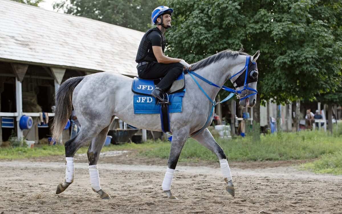 Gabaldon - Barbara D. Livingston / Daily Racing Form