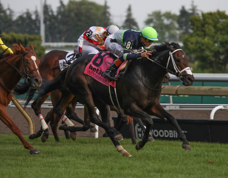 Gas Me Up - King Edward G2T - Woodbine - credit: Julie Wright / Daily Racing Form