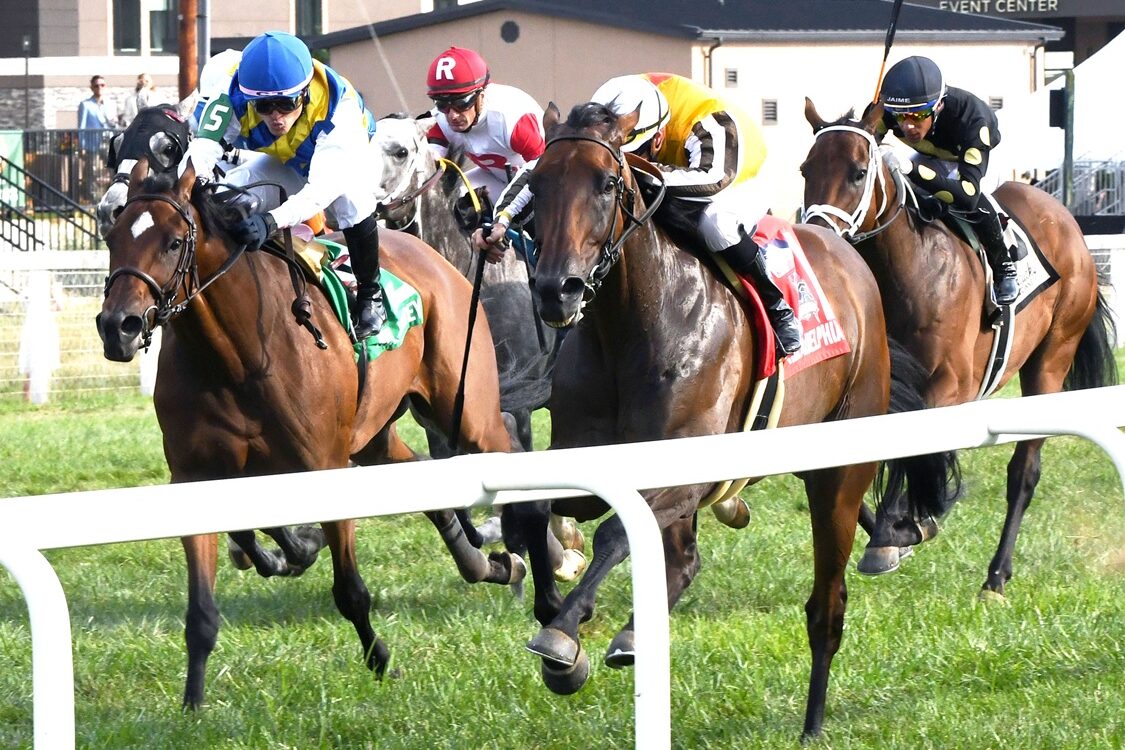 Goliad - Kentucky Downs - Coady Media