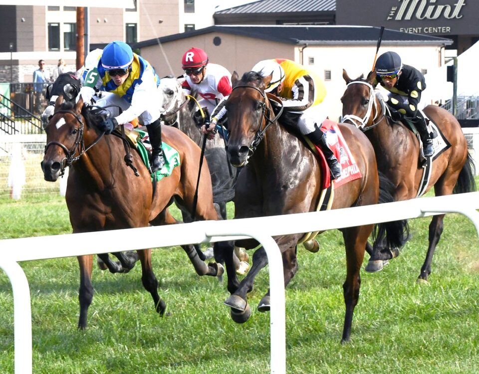Goliad - Kentucky Downs - Coady Media