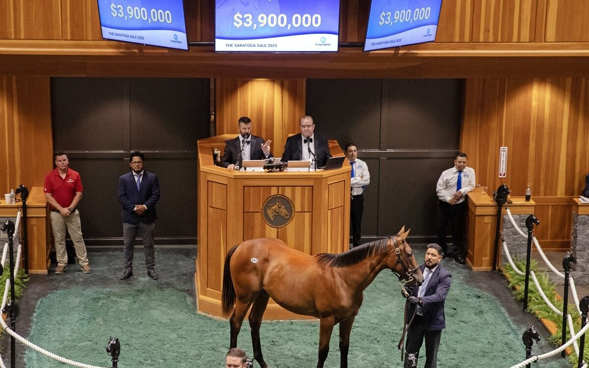 Hip 165 - Saratoga Sale - Barbara D. Livingston / Daily Racing Form