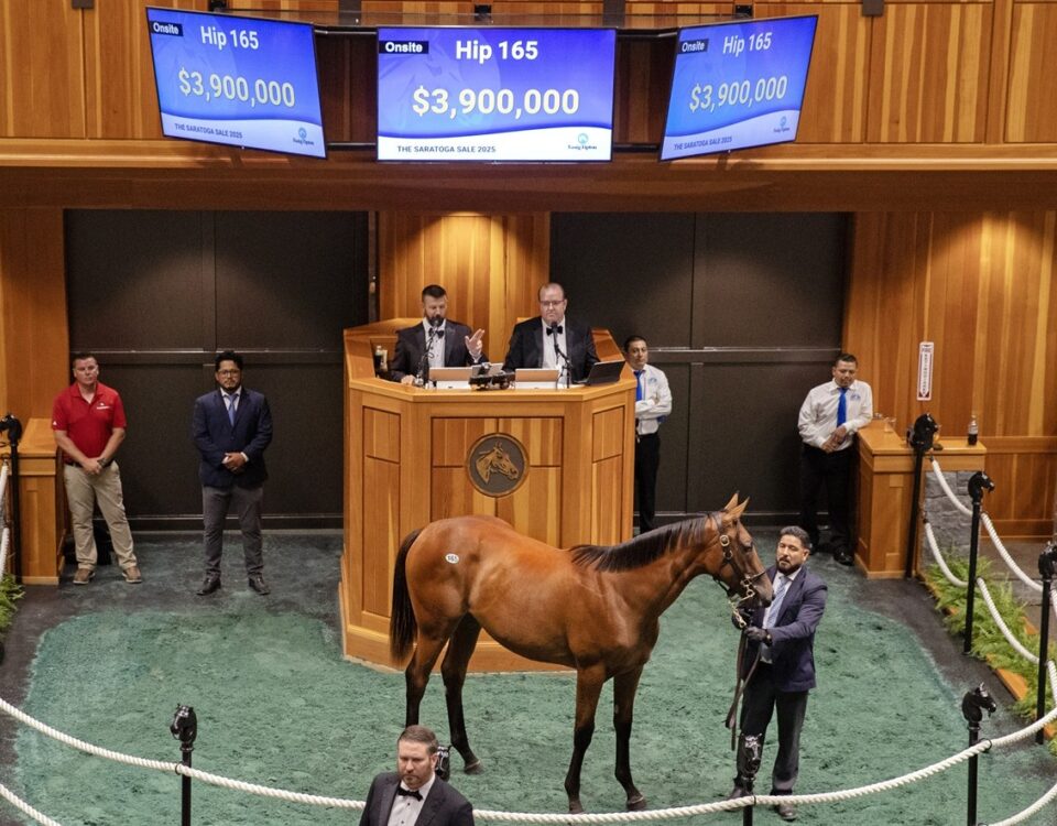Hip 165 - Saratoga Sale - Barbara D. Livingston / Daily Racing Form