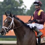 Journalism - Barbara D. Livingston - Daily Racing Form