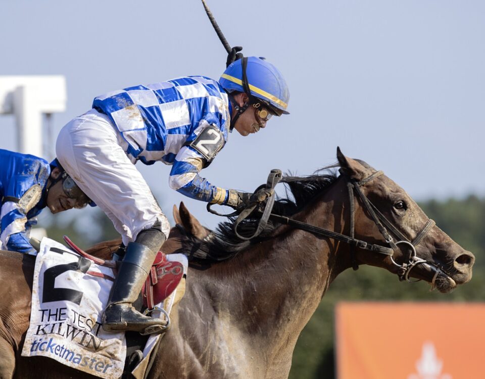 Kilwin - Barbara D. Livingston - Daily Racing Form