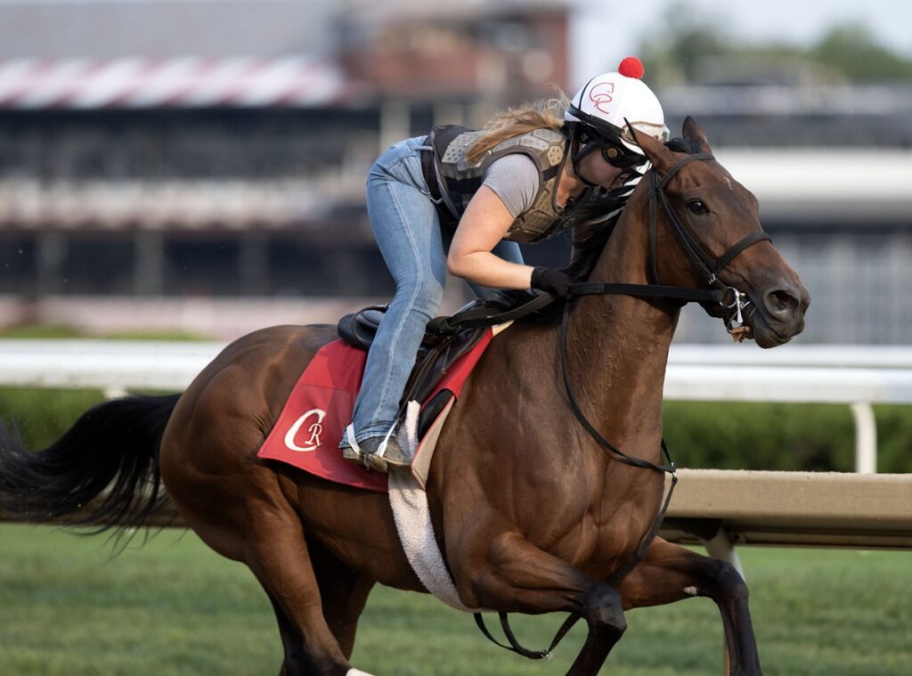 La Cara - apsirante al Alabama G1 - Barbara D. Livingston / Daily Racing Form