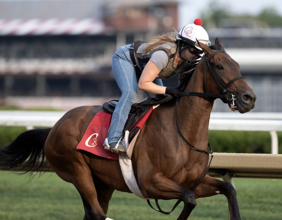La Cara - apsirante al Alabama G1 - Barbara D. Livingston / Daily Racing Form