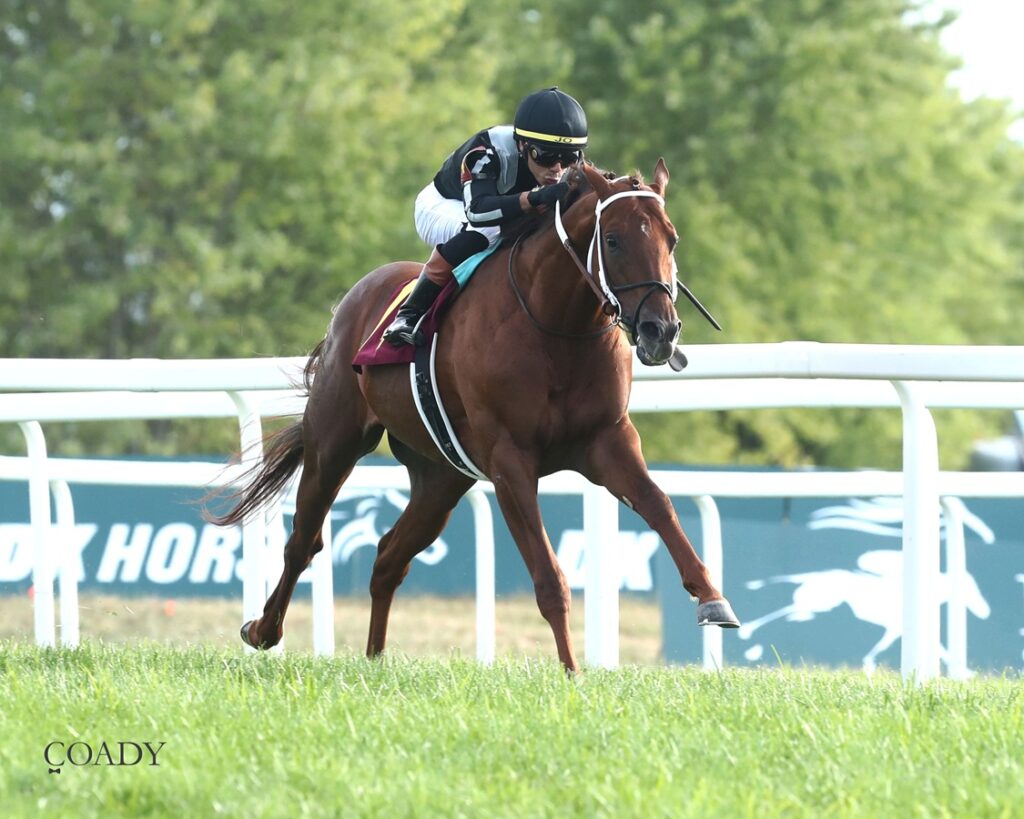 Lagynos - Tapit Stakes - Coady Media