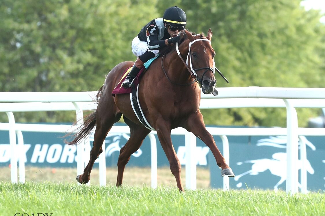 Lagynos - Tapit Stakes - Coady Media