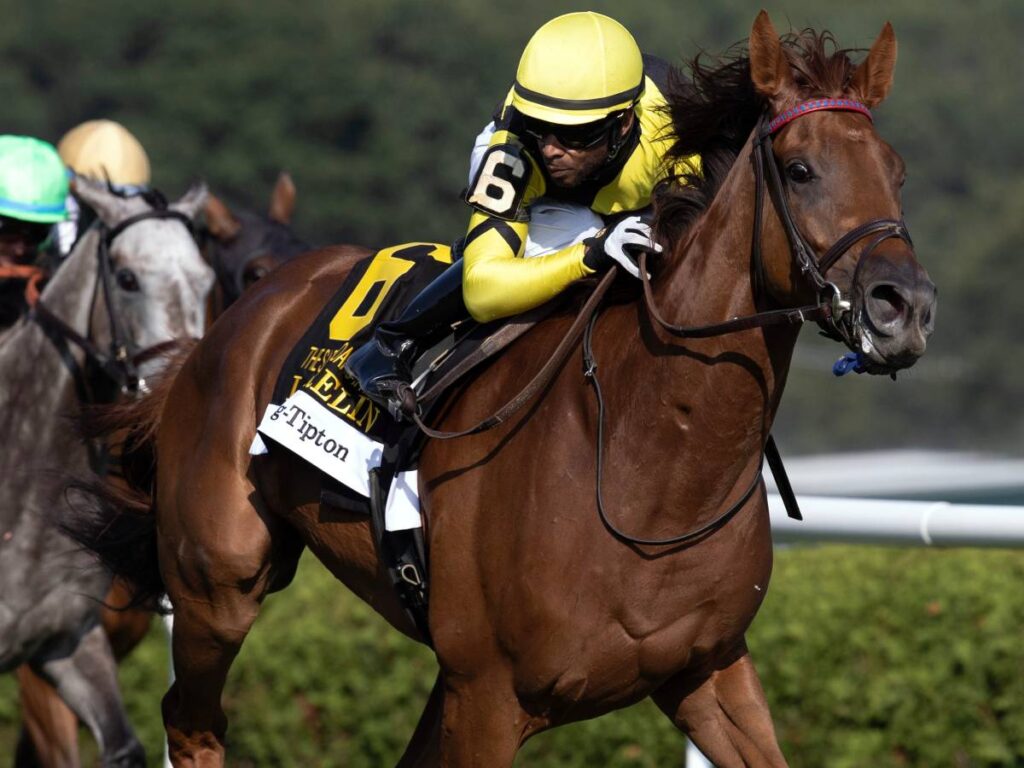 Laurelin - Saratoga Oaks Invitational G2 - Barbara D Livingston - Daily Racing Form