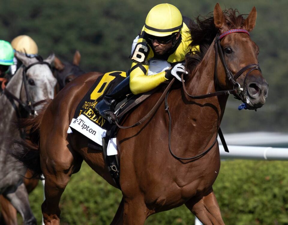 Laurelin - Saratoga Oaks Invitational G2 - Barbara D Livingston - Daily Racing Form