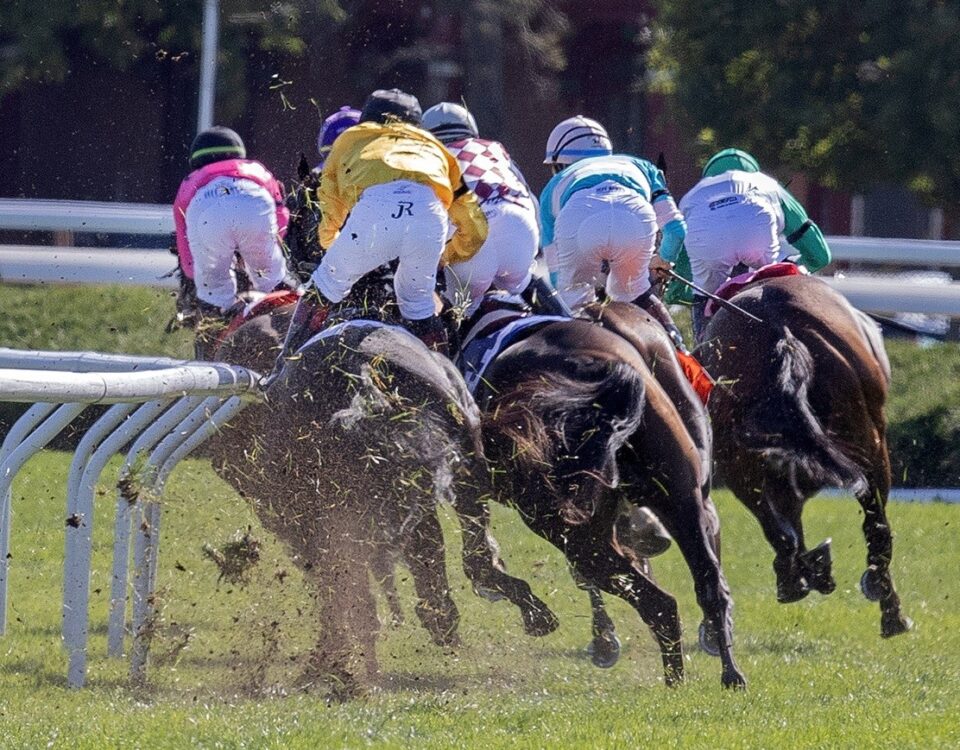 Luther (GB) - NMRHOF G2 (primera curva) - Barbara D. Livingston - Daily Racing Form
