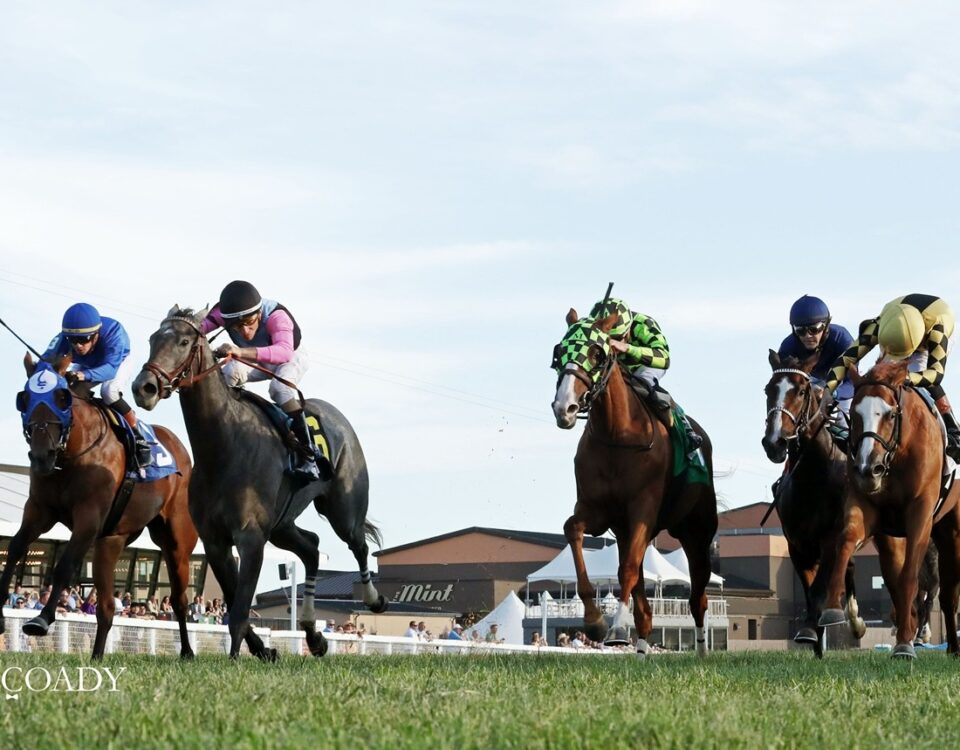 MERINGUE - Kentucky Downs Juvenile Fillies - Renee Torbit - Coady Media