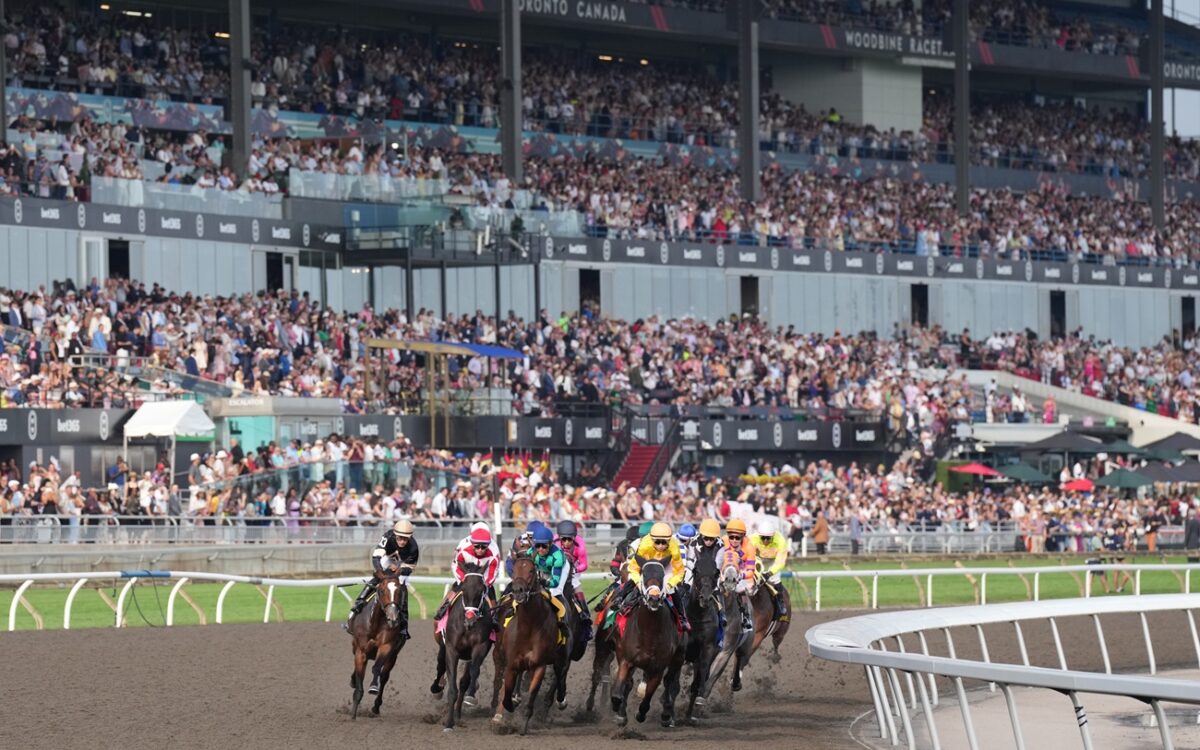 Woodbine Racetrack - 166th running of the $1M King's Plate - Michael Burns Photo