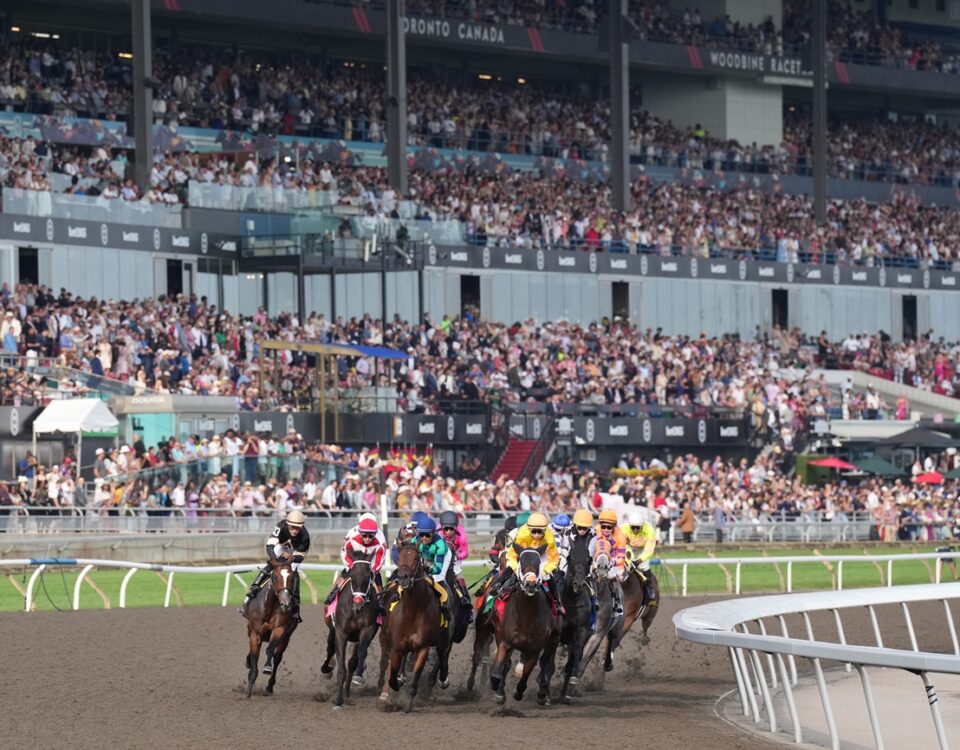 Woodbine Racetrack - 166th running of the $1M King's Plate - Michael Burns Photo