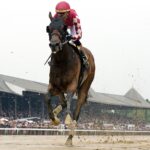 Nitrogen - Barbara D. Livingston - Daily Racing Form