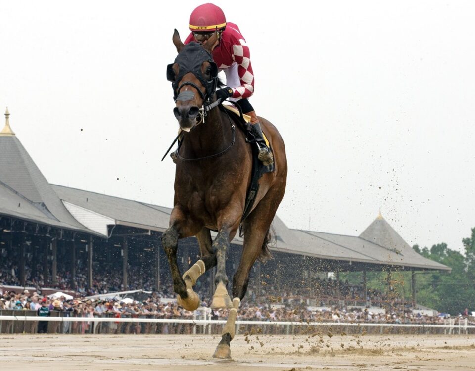 Nitrogen - Barbara D. Livingston - Daily Racing Form