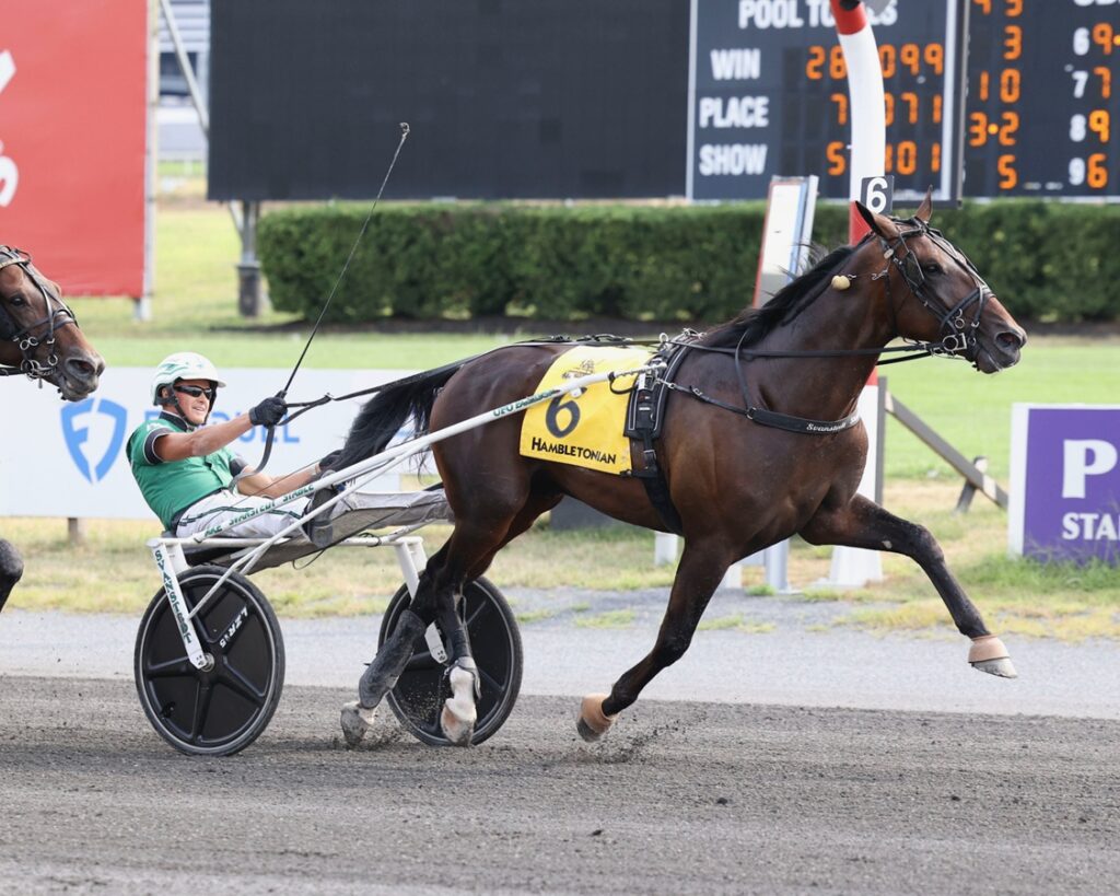 Nordic Catcher S - Hambletonian 100 - Nikki Sherman photo - DRF Harness