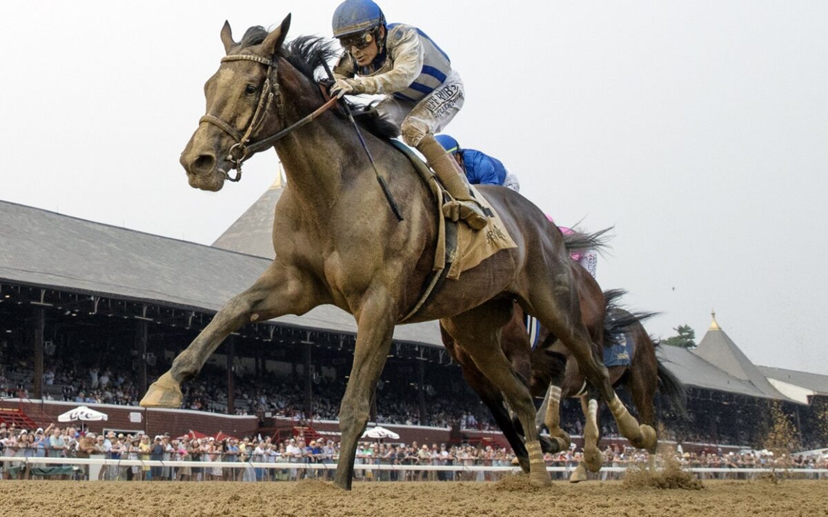 Parchment Party - Barbara D. Livingston - Daily Racing Form