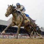 Parchment Party - Barbara D. Livingston - Daily Racing Form