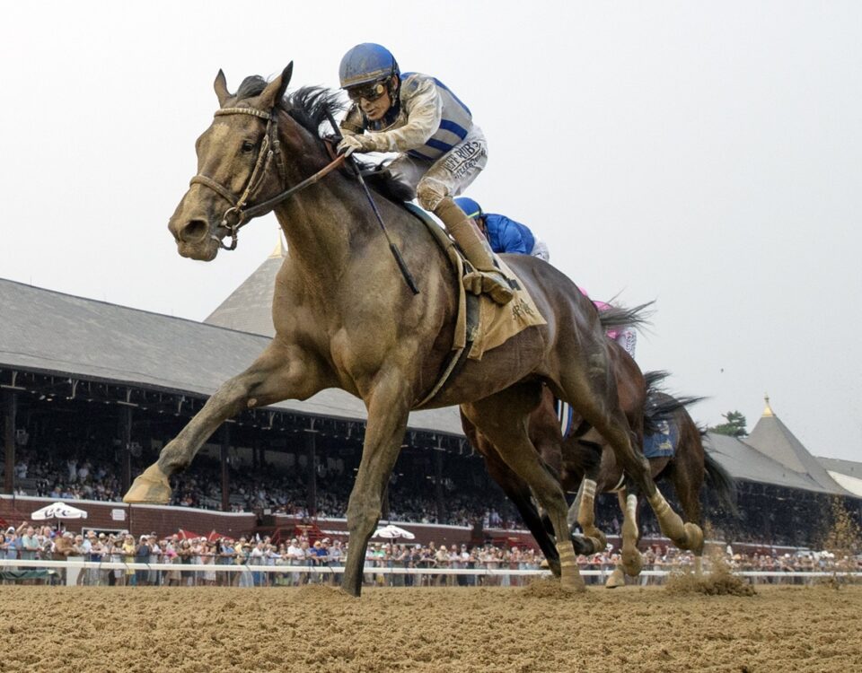 Parchment Party - Barbara D. Livingston - Daily Racing Form
