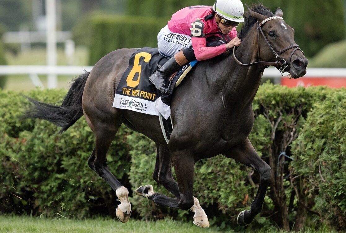 Rhetorical- West Point Stakes - Saratoga - Barbara Livingston / Daily Racing Form